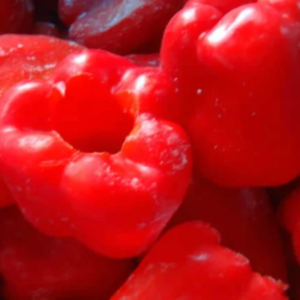 Frozen red bell pepper cup IQF