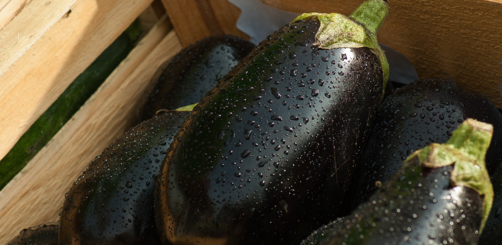 Eggplant Post